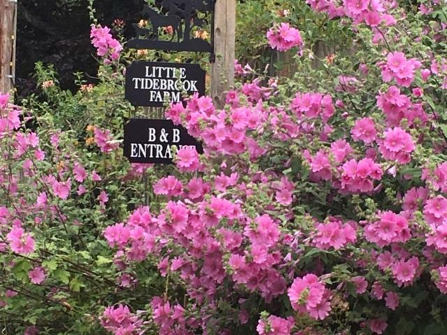 Little Tidebrook Farm Bed and Breakfast Wadhurst Εξωτερικό φωτογραφία
